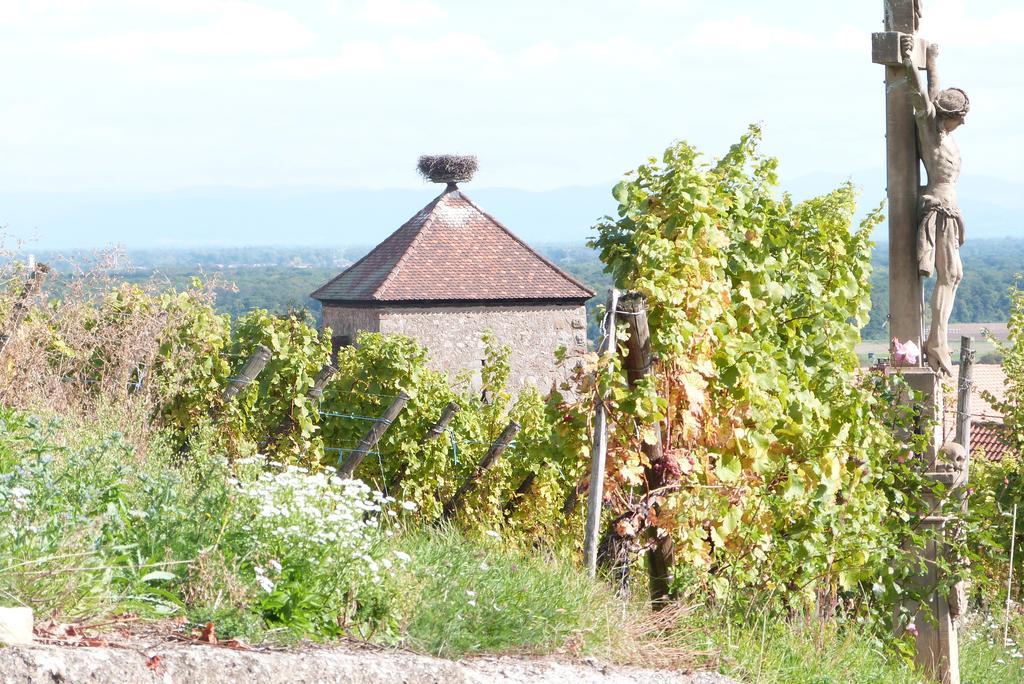 Le P'Tit Coin De Chez Nous Villa Dambach Exterior foto