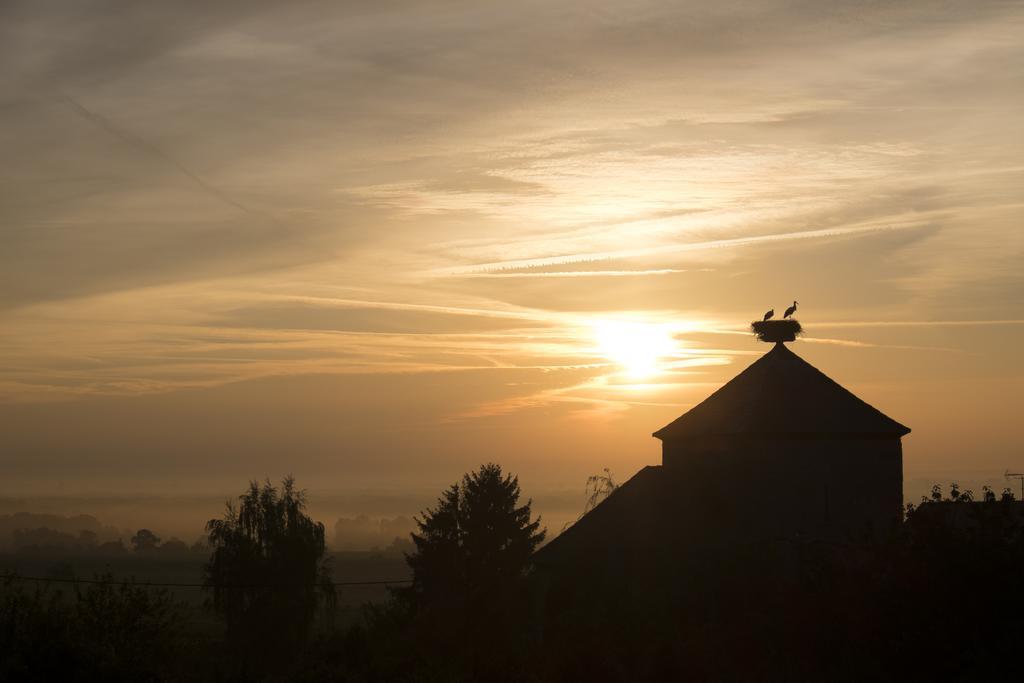 Le P'Tit Coin De Chez Nous Villa Dambach Exterior foto